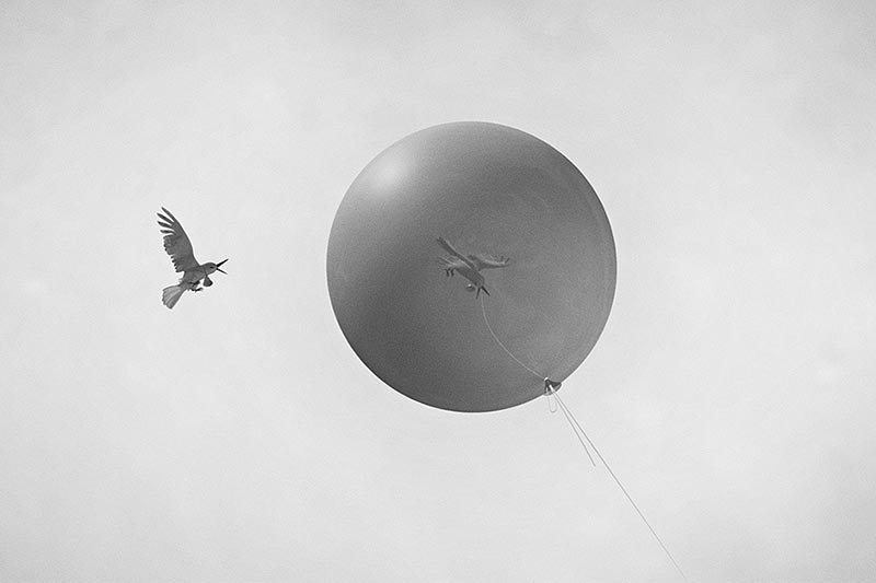 如(rú)何吸引用(yòng)戶注意力來(lái)提高(gāo)網頁點擊率