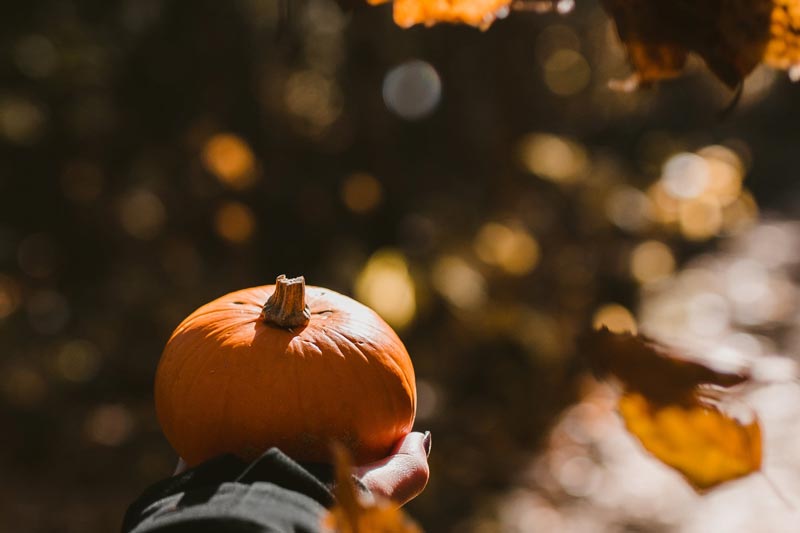 什(shén)麽是(shì)網頁制(zhì)作(zuò)？如(rú)何摸索網站(zhàn)開(kāi)發的(de)關鍵？