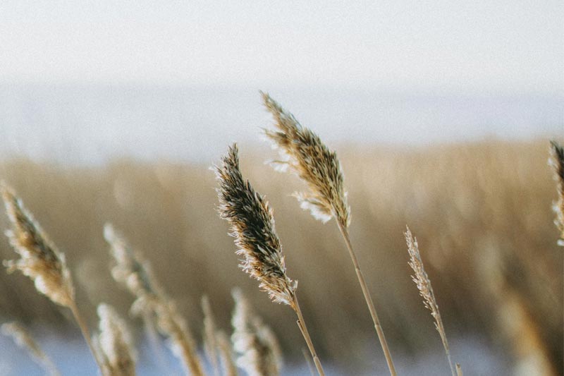 在外(wài)網買的(de)域名能(néng)在國(guó)內(nèi)服務器(qì)上(shàng)用(yòng)嗎(ma)