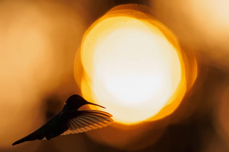 光(guāng)伏儲能(néng)的(de)外(wài)貿未來(lái)潛力