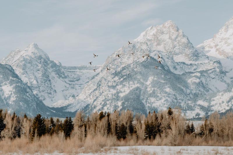 金(jīn)屬冶煉行(xíng)業(yè)建站(zhàn)方案