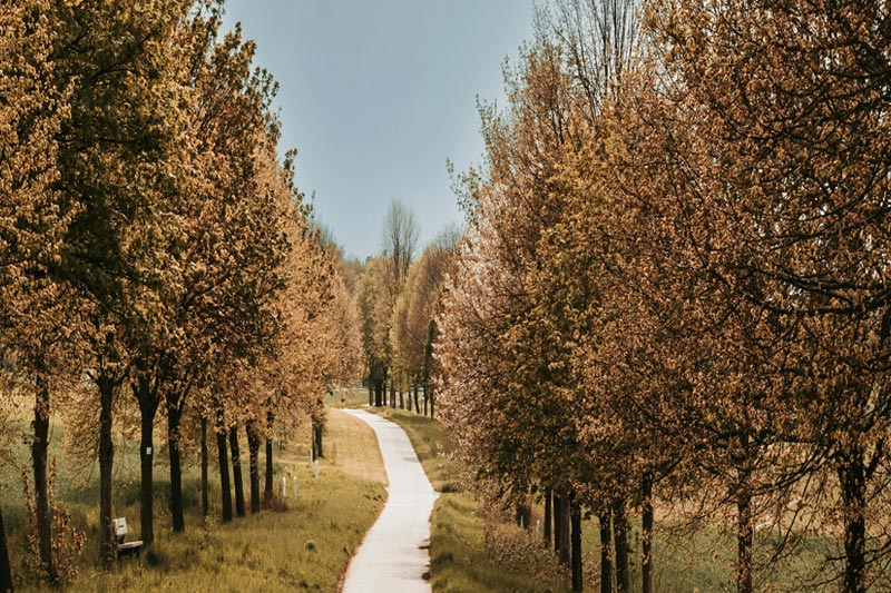 健身(shēn)行(xíng)業(yè)的(de)小(xiǎo)程序應用(yòng)前景