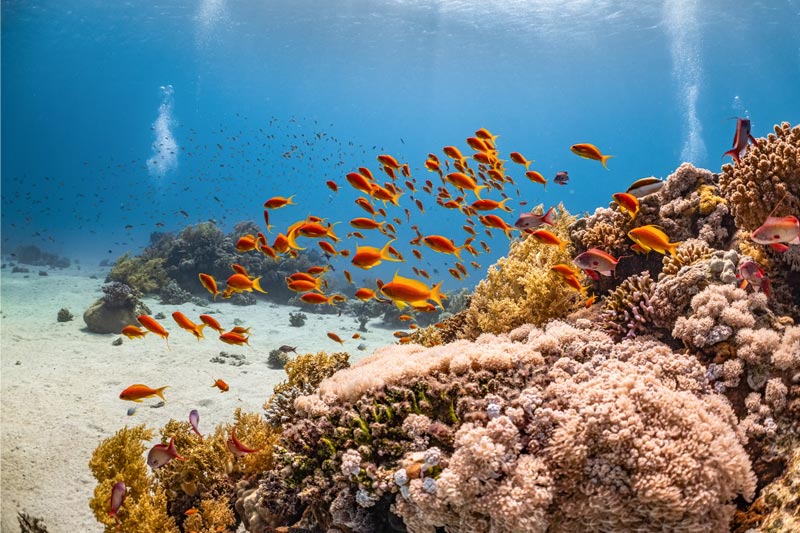 搭建消費(fèi)電(diàn)子(zǐ)的(de)外(wài)貿網站(zhàn)的(de)設計(jì)風(fēng)格指引