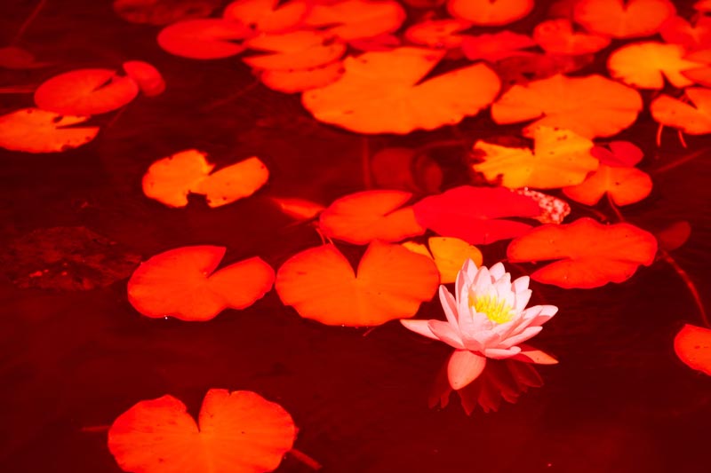 教育互聯網的(de)AI新思路(lù)