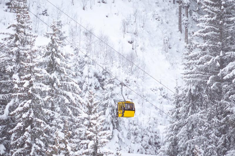 食品+互聯網模式帶動行(xíng)業(yè)新穎發展