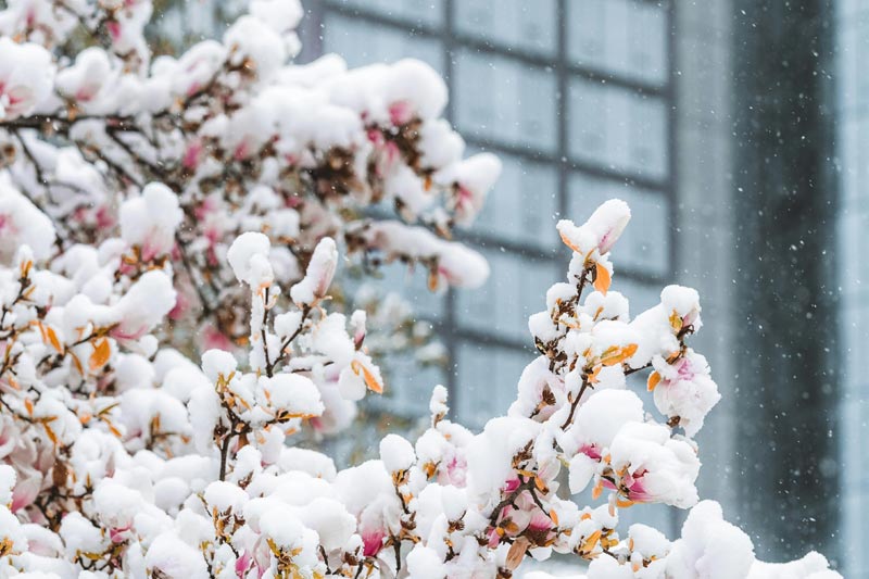 做(zuò)動漫衍生(shēng)品的(de)外(wài)貿網站(zhàn)需要(yào)考量的(de)費(fèi)用(yòng)