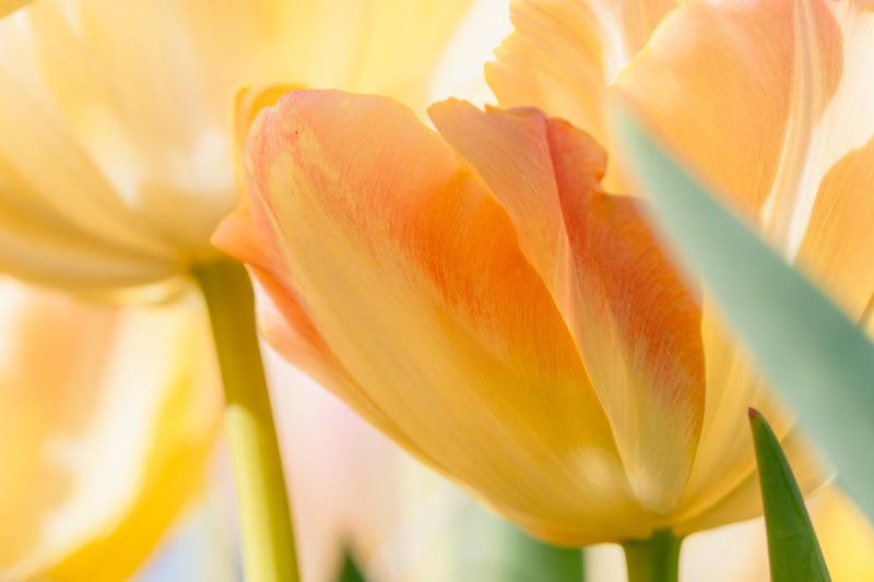 如(rú)何低(dī)成本企業(yè)建站(zhàn)