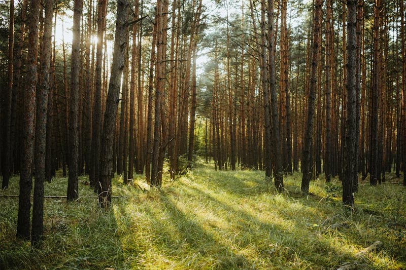 搭建紡織外(wài)貿企業(yè)站(zhàn)需要(yào)的(de)步驟是(shì)怎樣的(de)