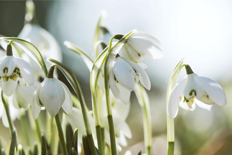 做(zuò)一(yī)個(gè)包裝網站(zhàn)的(de)大(dà)緻費(fèi)用(yòng)分(fēn)類