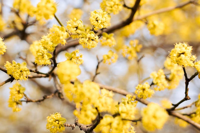 智能(néng)制(zhì)造轉型的(de)互聯網外(wài)貿可(kě)行(xíng)性