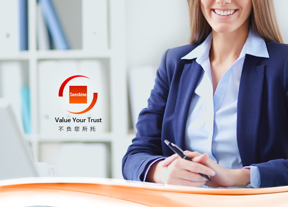 陽光(guāng)技(jì)術(shù)服務（香港）有(yǒu)限公司
